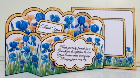 A Field Full of Irises Wiper Card by Pam Stubley