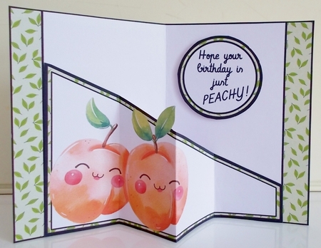 Just Peachy! Diagonal Popout Kit by Pam Stubley