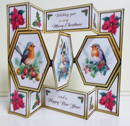 Hexagon shutter Christmas Robins Featured Gallery Photo