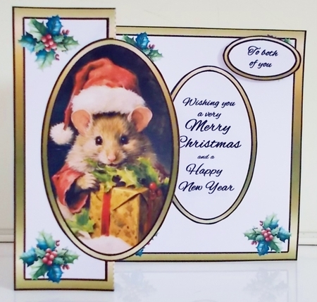 FBG A Mousey gift by Pam Stubley