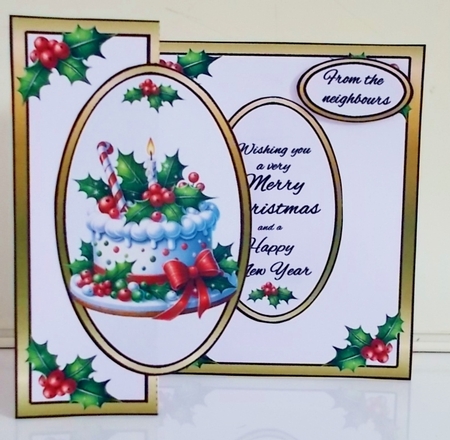 FBG Christmas cake by Pam Stubley