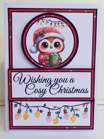 Cosy Christmas Owl Diagonal Popout Kit by Pam Stubley