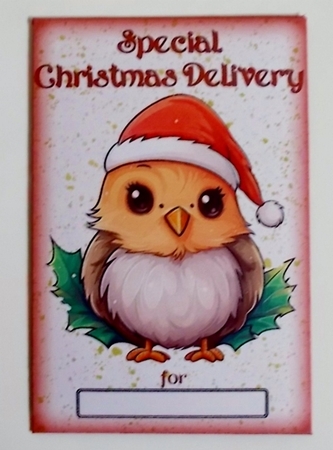Christmas Bird Money Wallet / Envelope by Pam Stubley
