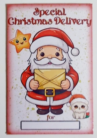 Christmas Santa and Cat Wallet / Envelope  by Pam Stubley