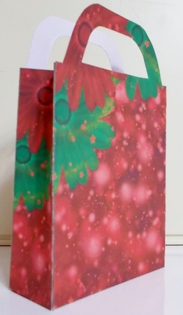 Red and green Christmas sparkle gift bag 3 by Pam Stubley