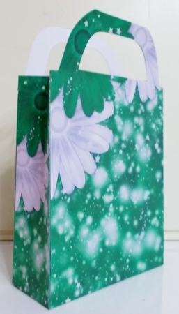 Red and green Christmas sparkle gift bag 4 by Pam Stubley