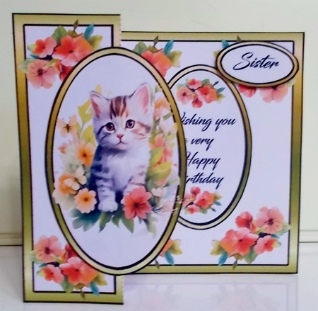 FB Cute kitten by Pam Stubley