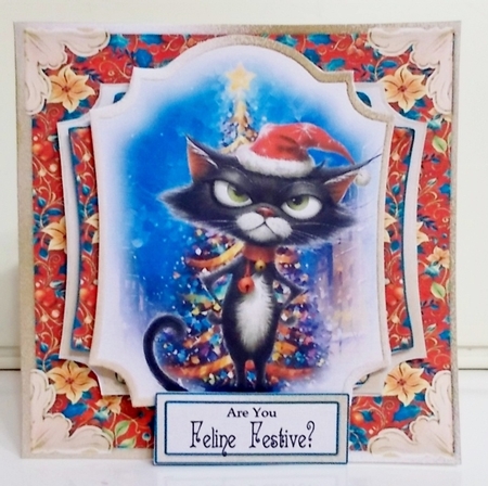 Festive Crazy Cats 10 by Pam Stubley