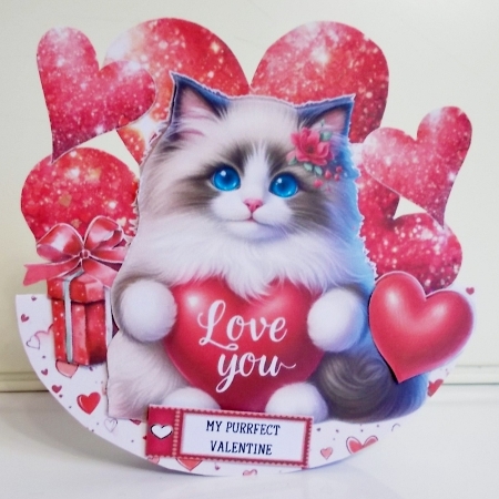 My Purrfect Valentine 2 by Pam Stubley