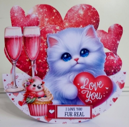My Purrfect Valentine 12 by Pam Stubley