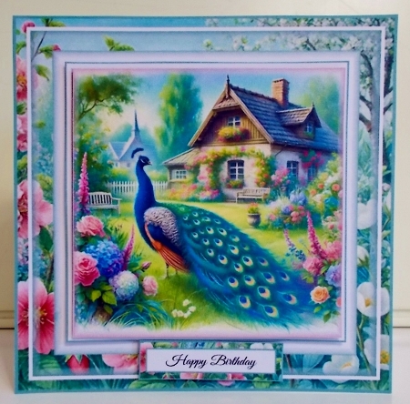 Peacock Garden by Pam Stubley