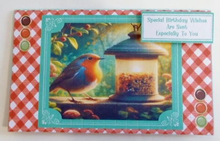 Garden Robin At The Bird Feeder - Money Wallet by Pam Stubley