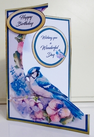 Cutaway Blue Jay by Pam Stubley