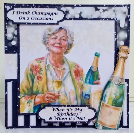 Does It Look Like I Want Company - Champagne Math by Pam Stubley