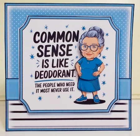 Common Sense  by Pam Stubley