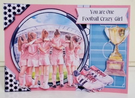 Football Mad 15 5x7 by Pam Stubley