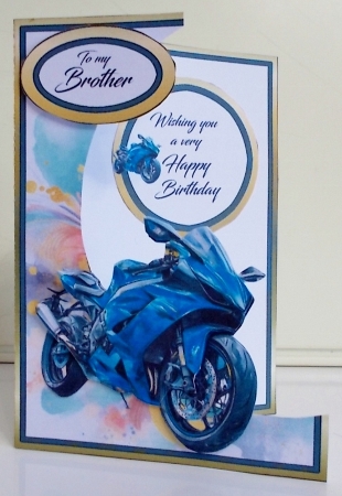 cup1373981_173 - Cutaway Racer bike (Blue)