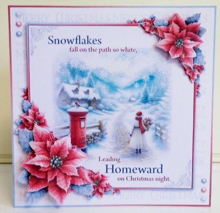 SNOWFLAKES FALL ON THE PATH SO WHITE by Pam Stubley