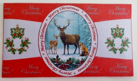 Winter animals scalloped edged money wallet. by Pam Stubley
