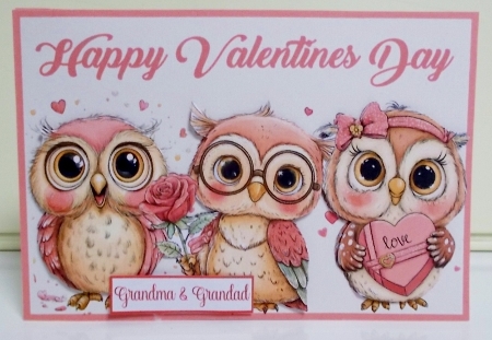 Whimsical Valentines Owls A5 Card by Pam Stubley