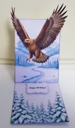 Winter Eagle Box Card with Scenic Landscape by Pam Stubley