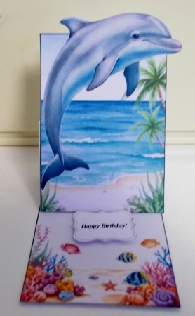 Ocean Dolphin Box Card with Underwater Scene by Pam Stubley
