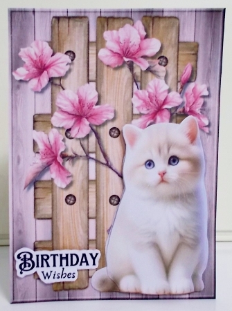 Cute Kitten In Garden Mini Kit by Pam Stubley
