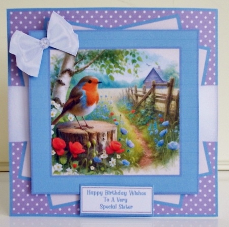 Countryside Robins - 7x7 Mini Kit 2 by Pam Stubley
