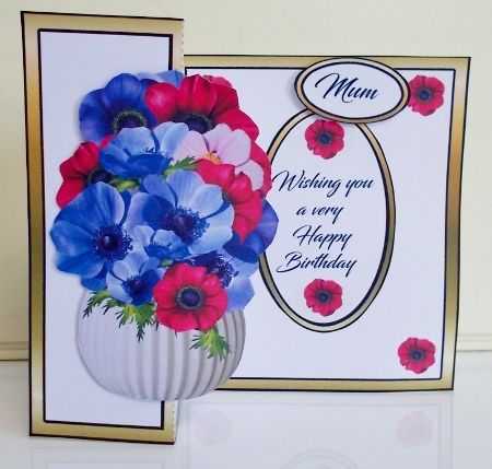 SFB Anemones by Pam Stubley
