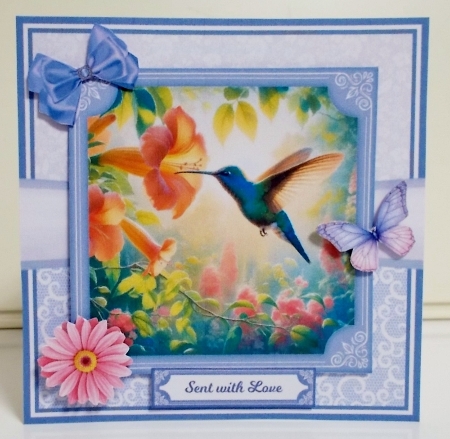 5x7 6x6 HUMMINGBIRD  by Pam Stubley