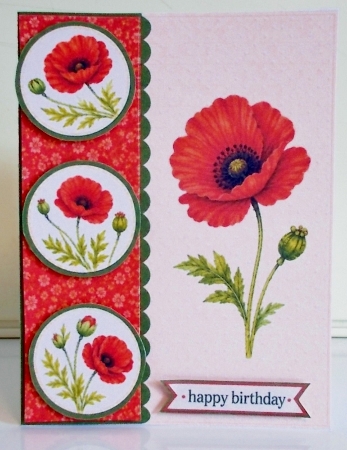Red Poppy Birthday Card Front – Elegant Floral Happy Birthday Topper by Pam Stubley