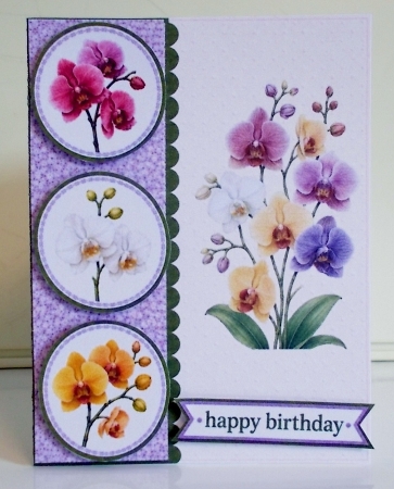 Orchid Birthday Card Front – Elegant Multicolor Floral Happy Birthday Topper by Pam Stubley