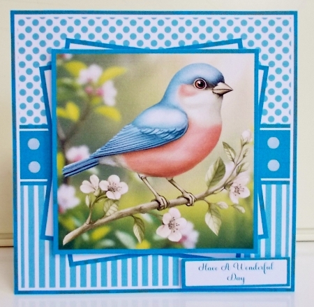 Beautiful Birds Mini Kit 7x7 (5) by Pam Stubley