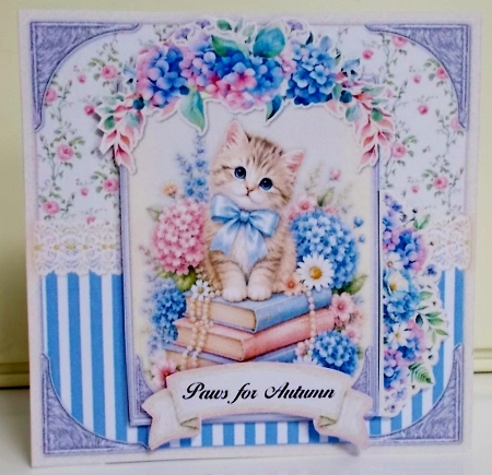 Paws for Autumn 2 6x6 by Pam Stubley