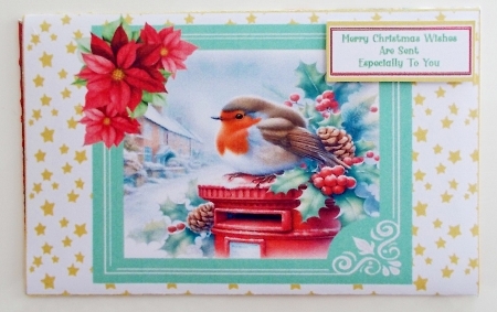 Christmas Robins - Money Wallet by Pam Stubley