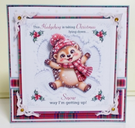 This Hedgehog Is Taking Christmas Lying Down! by Pam Stubley