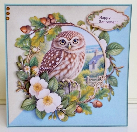 Male Card Wise Owl Mini Kit 8x8 by Pam Stubley