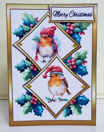 Two Squares Festive robins by Pam Stubley