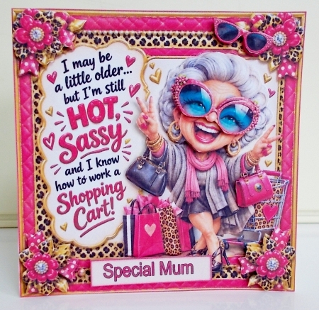 Hot & Sassy Mini Kit **Includes 5X7, 6x6, 7x7 8X8 Card Bases**    by Pam Stubley