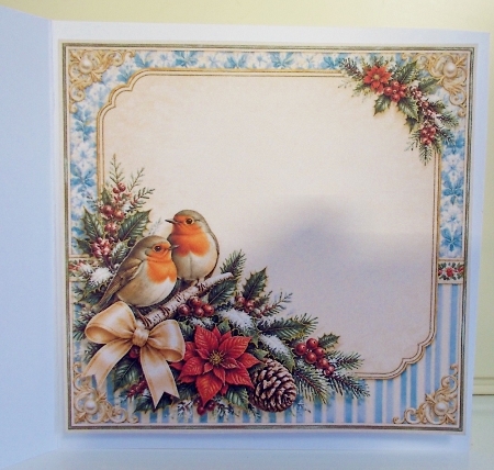 8x8 Christmas Robins - Blank Insert  by Pam Stubley