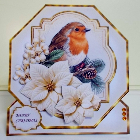 Robin & Poinsettia´s Featured Gallery Photo