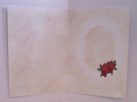 My Lady in Red - Insert by Pam Stubley