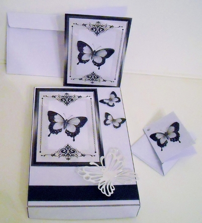 Elegant Butterfly Stationery Box Kit by Pam Stubley
