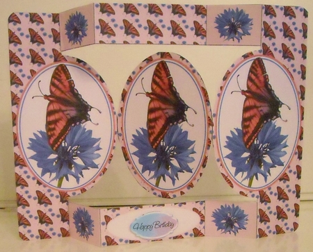 Butterfly on Cornflower by Pam Stubley