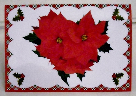 Poinsettia Easy Pop-up Kit by Pam Stubley