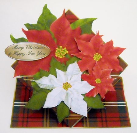 Giant Spring Wobble Card Kit - Poinsettia's & Tartan by Pam Stubley