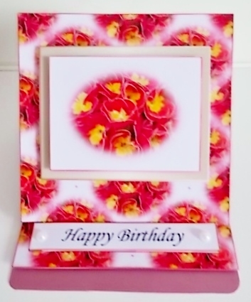 Birthday Primulas by Pam Stubley