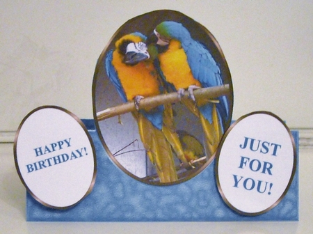 Macaws - on the Wild Side - Oval Stepper Card Kit by Pam Stubley
