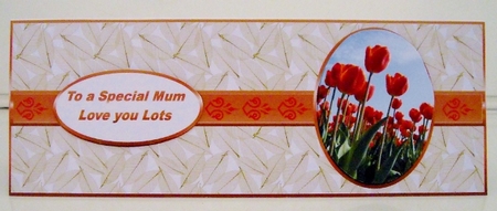 Tulips Oval 1 by Pam Stubley