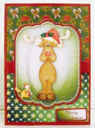 Rudolph and the Robin by Pam Stubley